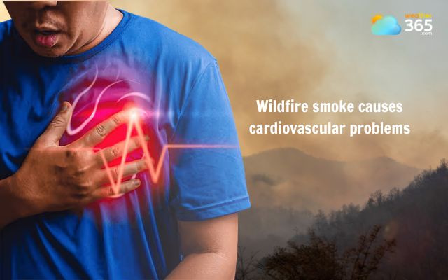 Wildfire smoke causes more severe cardiovascular problems