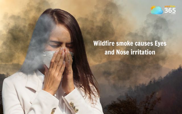 Wildfire smoke causes eye and nose problems