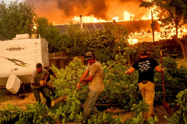 Residents clear trees to stop the flame spreading