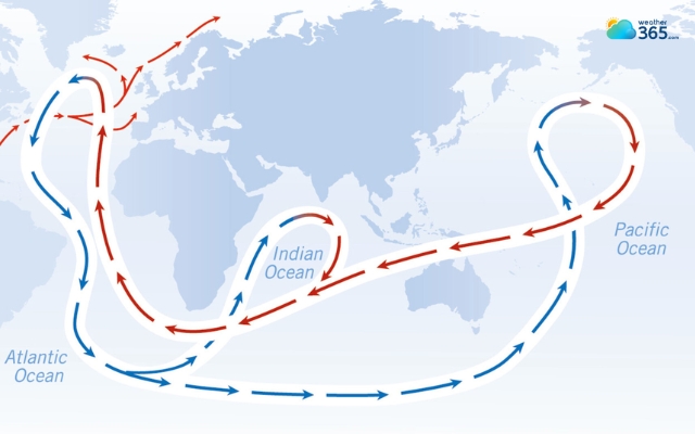 The Coriolis effect helps form ocean gyres