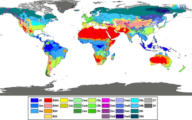 The Coriolis effect indirectly impacts the climate distribution