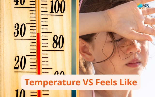 The difference between temperature and feels like temperature