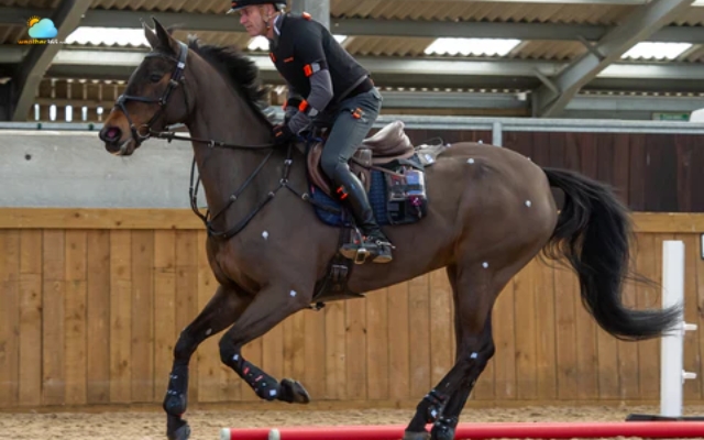 Improving performance by checking feels like temperature