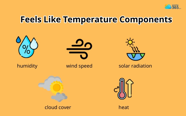 Feels like temperature combines different weather factors