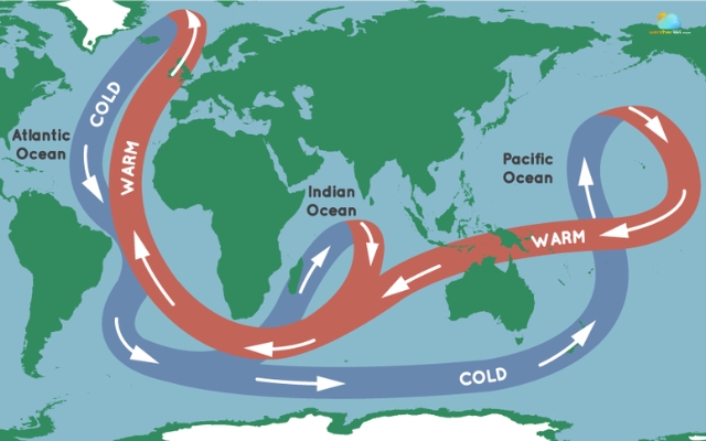 Warm and cold currents can make certain areas warmer or cooler