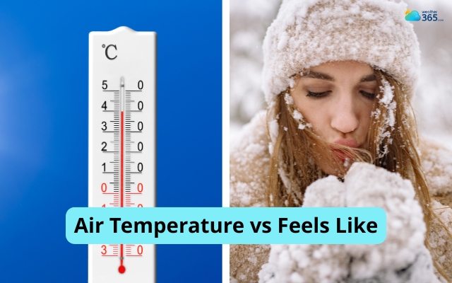 Why are air temperature and “feels like” temperature different?