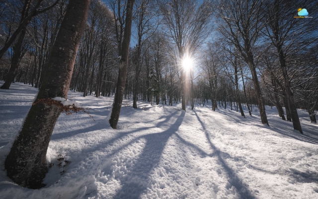 Snow prevents temperatures from rising