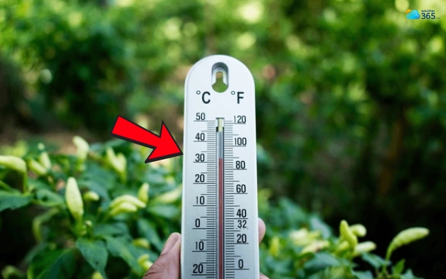  Look at the scale at eye level