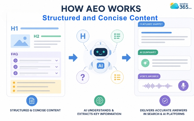 Structure plays a major role in AEO