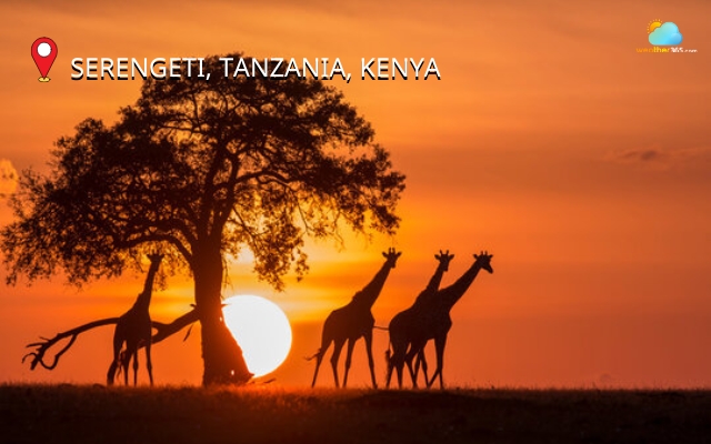  Watching the sunset in the endless plains