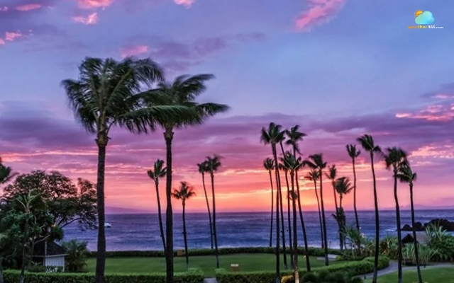  Sunset by the Pacific