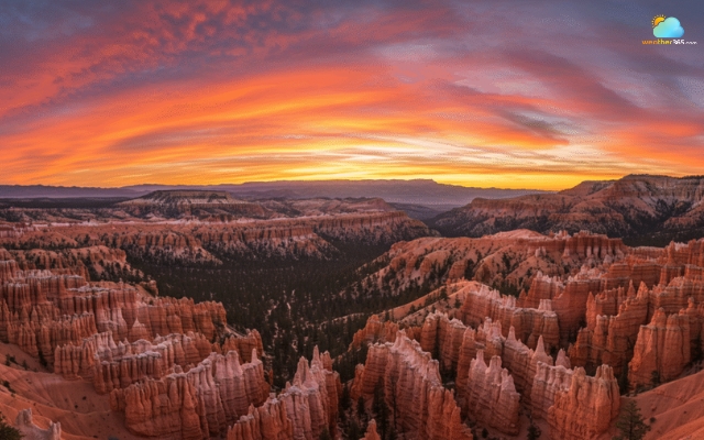 Red glow effect due to red rocks in Bryce Canyon National Park