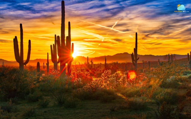  Sunset in the desert in Greater Phoenix