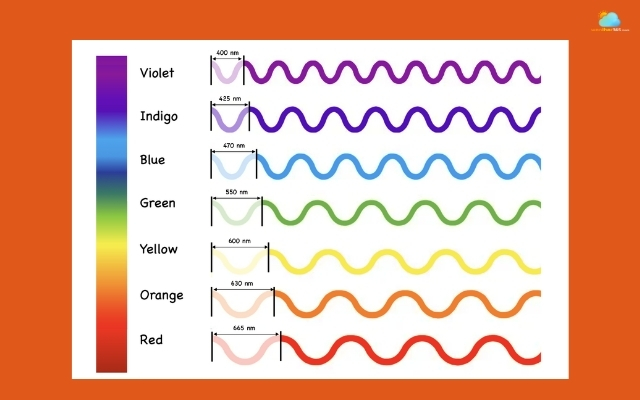 Sunset light is in warmer tones like orange and red