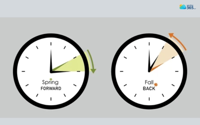 Clocks are set forward by one hour in spring and back again in autumn