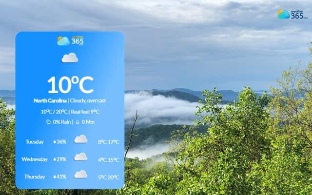 Weather365’s widget provides real-time weather updates