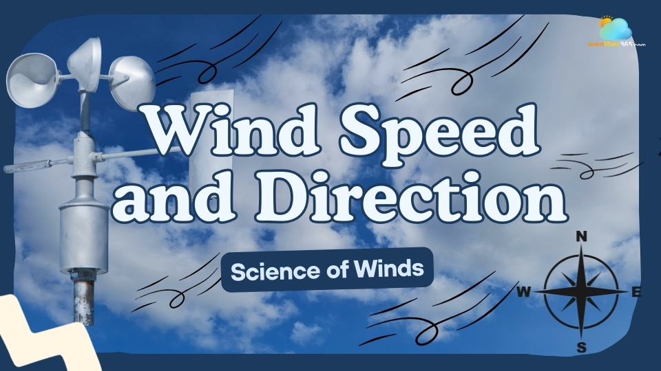Learn about the wind speed and direction