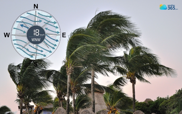 Wind direction describes the direction the wind originates from