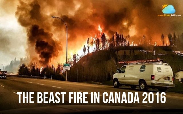 The Beast Fire in Canada in 2016