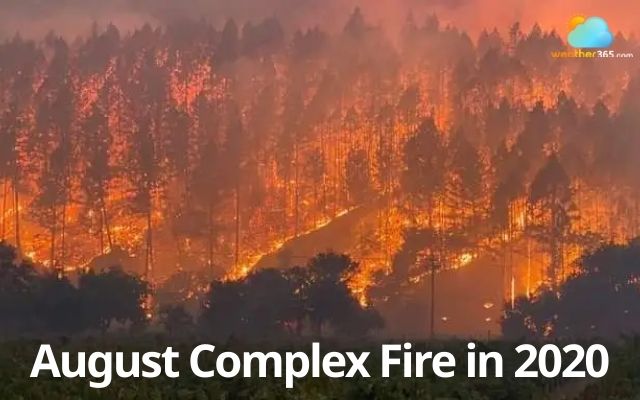 The devastating August Complex Fire in California in 2020