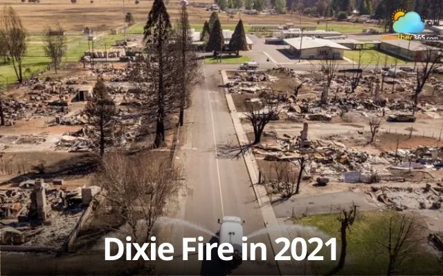 Dixie Fire sparked by PG&E power lines