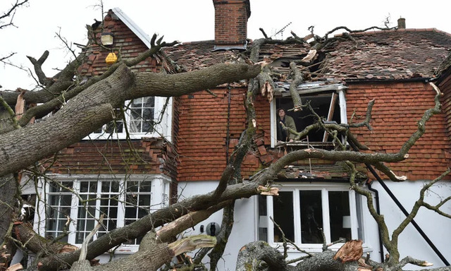 Hurricane breaks trees and damages the roof of the frame house