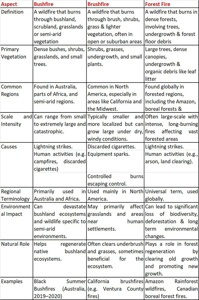 Difference among bush fire, brushfire, and forest fire
