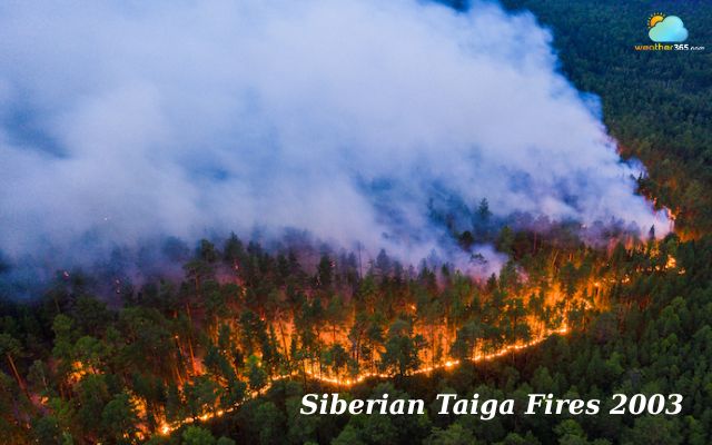  Massive Wildfires in Siberia