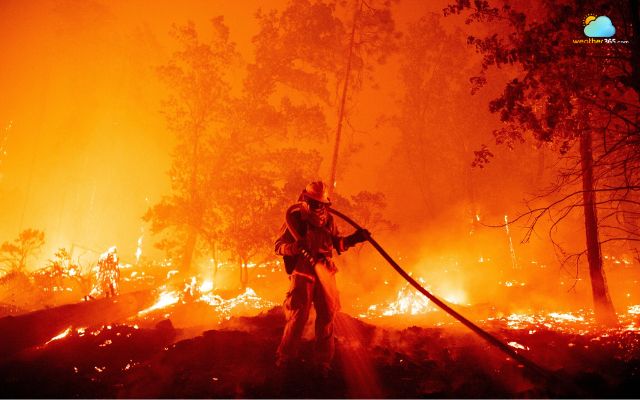 Southern California and Patagonia have significant fires 