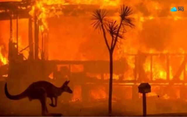 Australia is in danger of increased wildfires