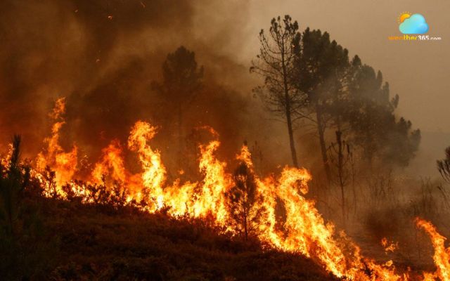 Wildfires have become a critical threat