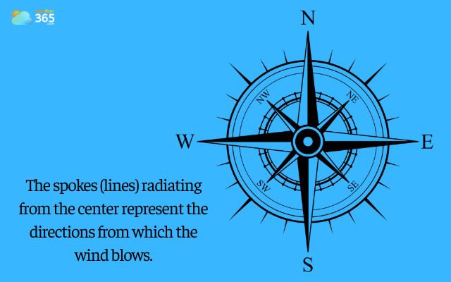  A wind rose shows where the wind comes from