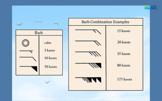 The wind barb is a specialized wind direction symbol