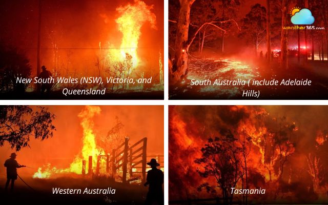 Bushfire hotspots in Australia
