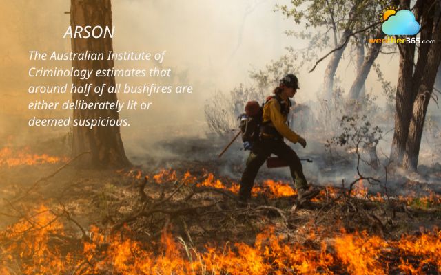 Arson accounts for the majority of the common causes of Australian bushfires