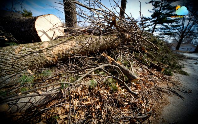 Be careful when burning yard debris