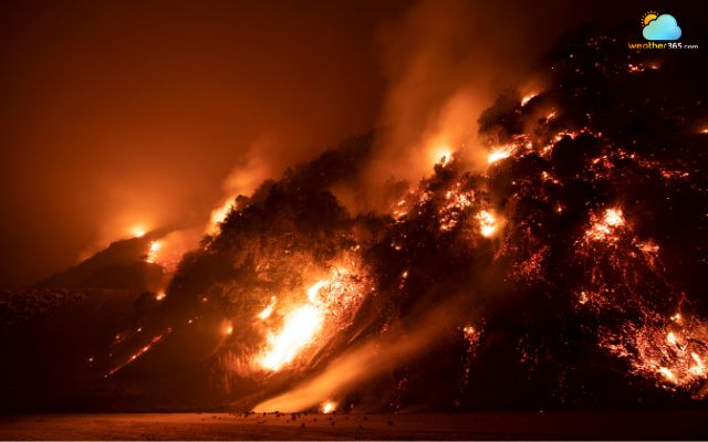 Most wildfire-prone areas in Australia