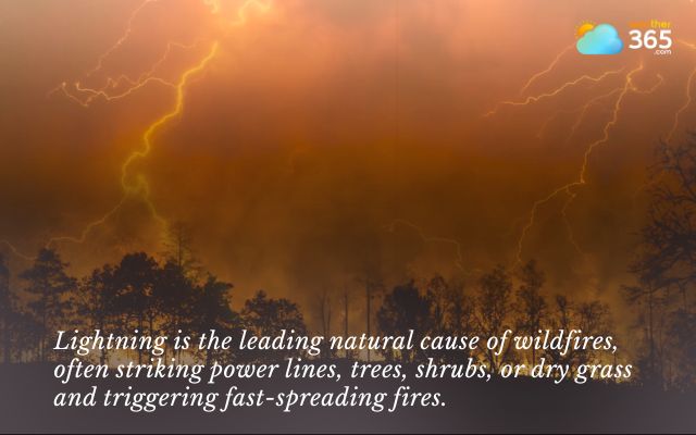 Lightning is the leading natural cause of wildfires