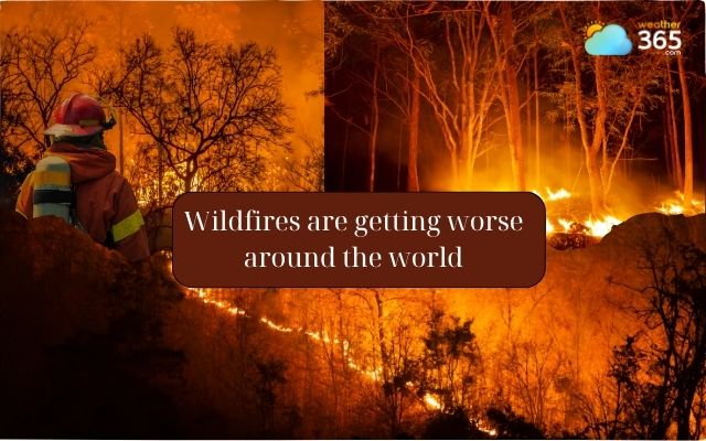 Worldwide wildfires are getting worse