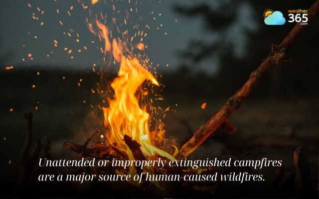 Campfires can cause wildfires