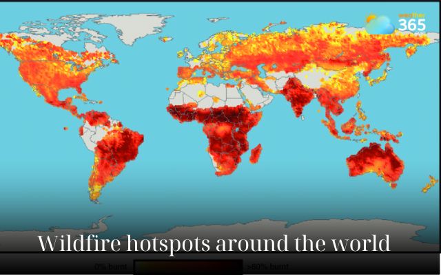 Wildfire hotspots worldwide