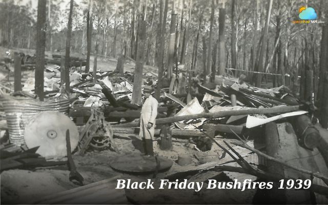 Black Friday Bushfires in 1939