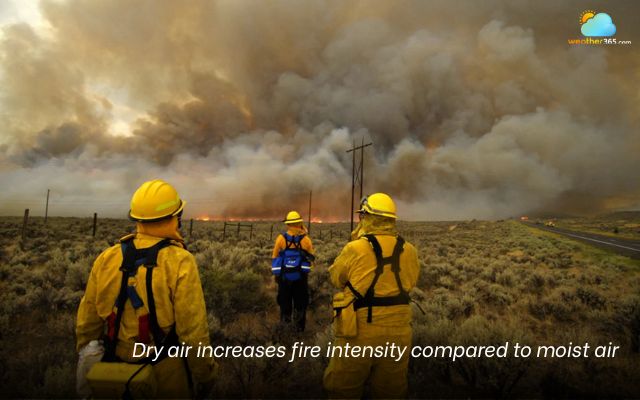 Low humidity increases the risk of wildfires