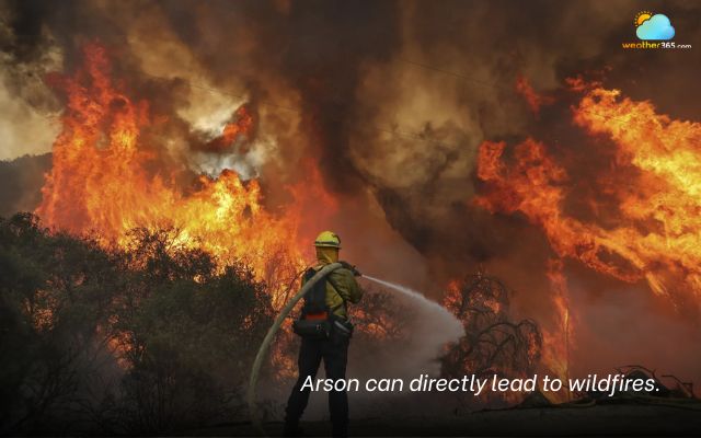 Arson can directly lead to wildfires
