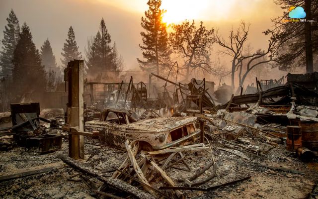 Bushfires are dangerous because they destroy homes and infrastructure