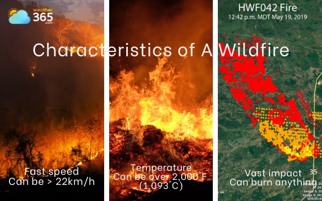 Characteristics of wildfires