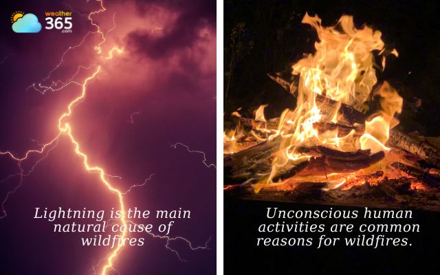 What causes wildfires?