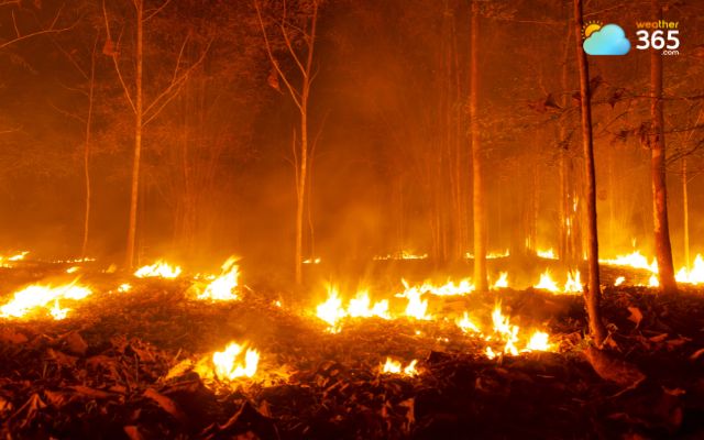 Are wildfires increasing?