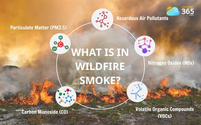 Component of wildfire smoke