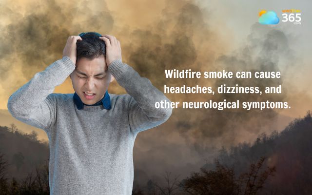 Wildfire smoke leads to neurological symptoms
